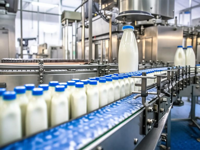 Milk processing line-1